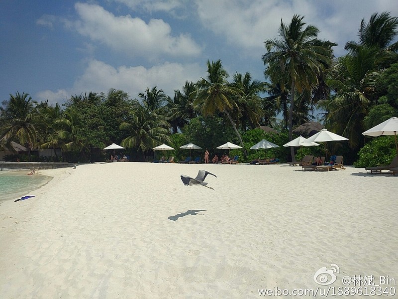 xiaomi_mi_5_camera_sample_lin_bin_weibo