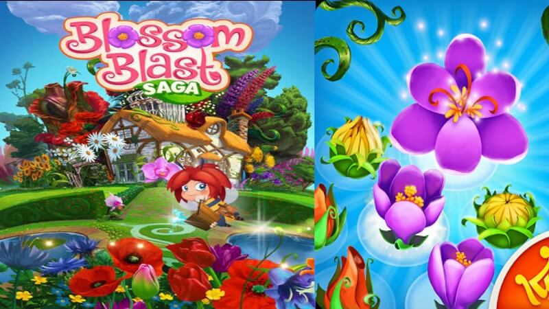 Blossom Blast Saga RN3