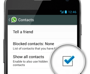 WhatsApp show all contact