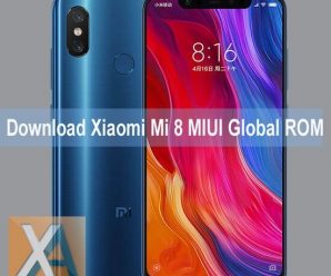 Xiaomi Mi 8 MIUI Global Stable ROM download