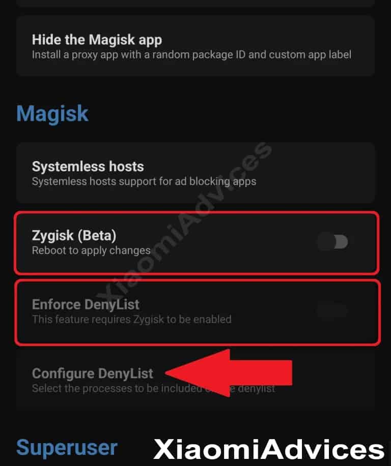 Magisk Manager Zygisk Settings