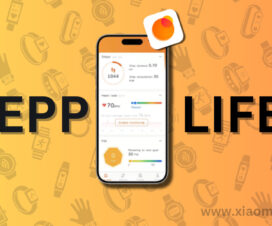 Zepp Life App