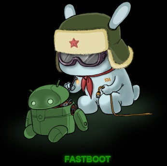 Redmi Note 13 NFC (Russia) Fastboot Mode
